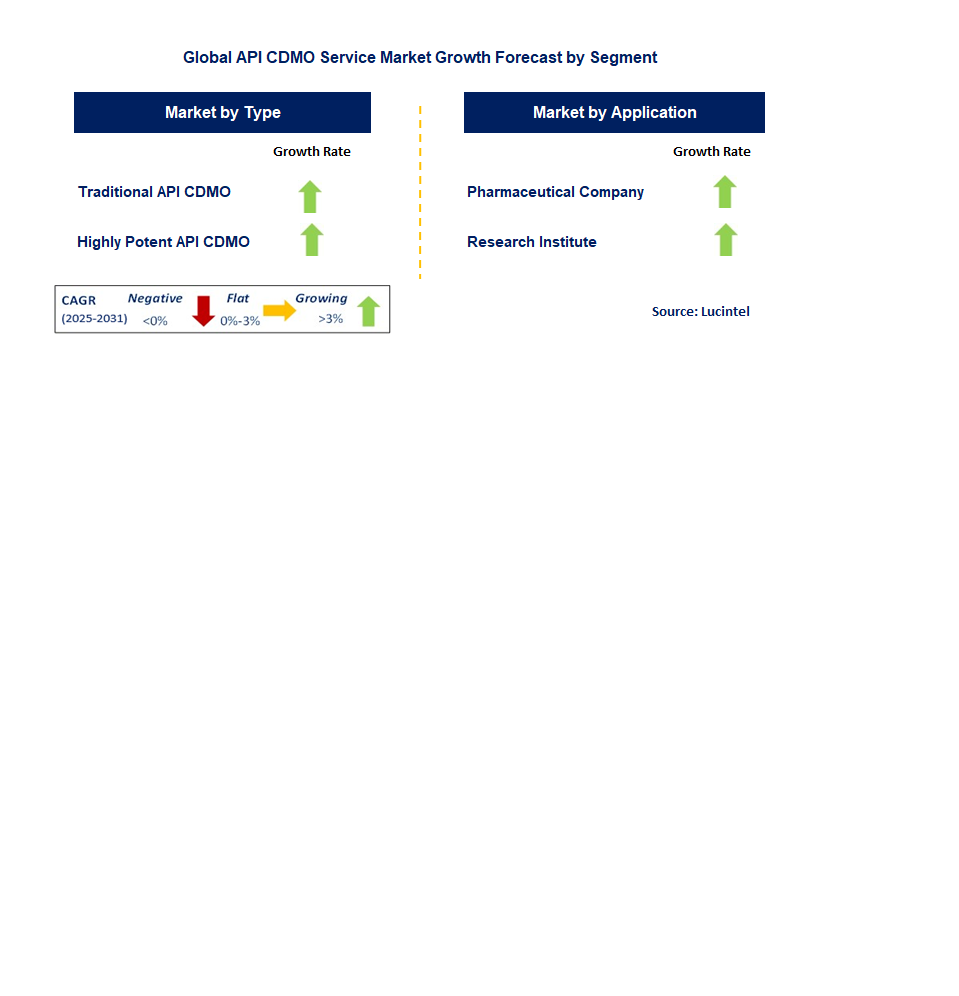 API CDMO Service Market by Segment